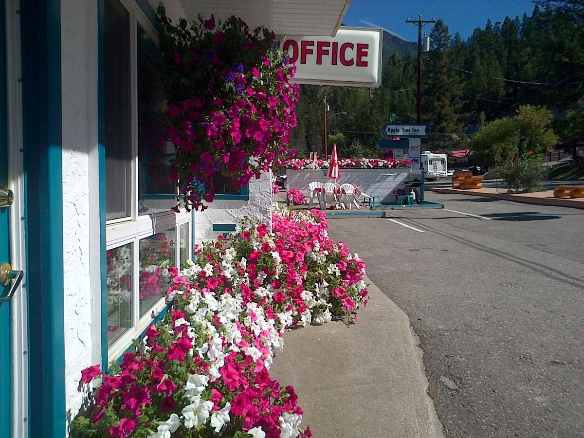 Appletree Inn Radium Hot Springs Exterior foto